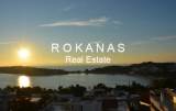 slide thumbnail