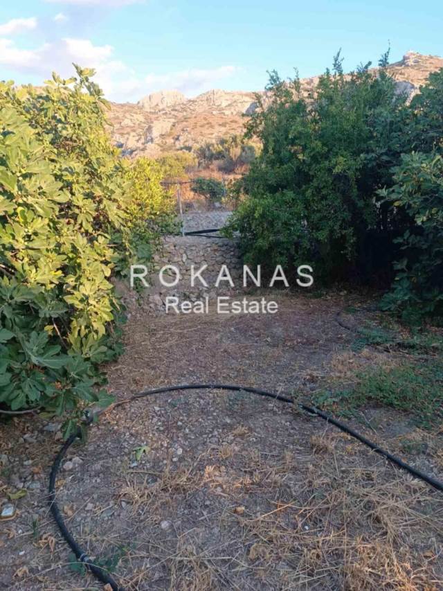 (For Sale) Land Plot for development || Lasithi/Ierapetra - 276 Sq.m, 65.000€ 