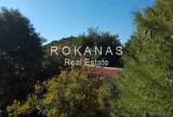 slide thumbnail