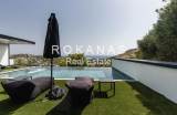 slide thumbnail