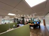 slide thumbnail