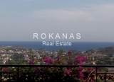slide thumbnail