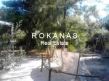 slide thumbnail
