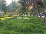 slide thumbnail