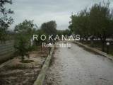 slide thumbnail